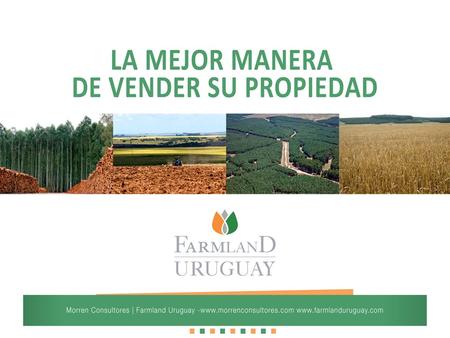 El mejor acceso en Uruguay a potenciales compradores extranjeros, principalmente de Europa y América del Norte. Creemos que nuestro nivel de trabajo cumple.