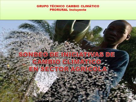 GRUPO TÉCNICO CAMBIO CLIMÁTICO PRORURAL Incluyente.