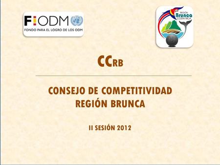CC RB CONSEJO DE COMPETITIVIDAD REGIÓN BRUNCA II SESIÓN 2012.
