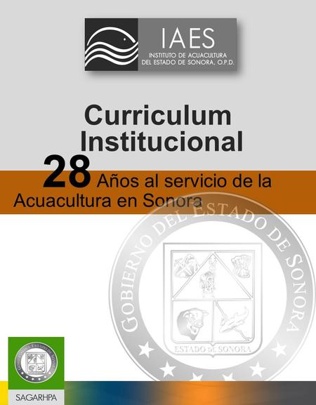 Curriculum Institucional