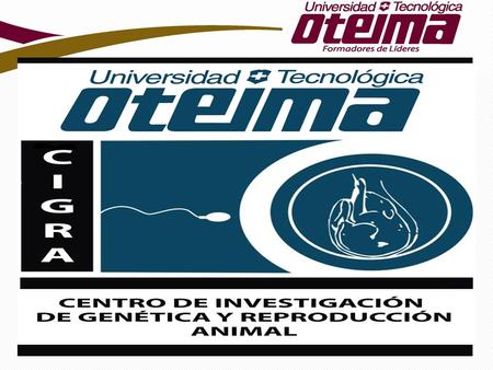 CENTRO DE INVESTIGACIÓN DE GENÉTICA Y REPRODUCCIÓN ANIMAL, S. A