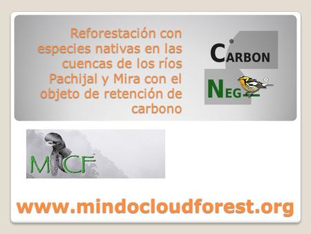 Reforestación con especies nativas en las cuencas de los ríos Pachijal y Mira con el objeto de retención de carbono www.mindocloudforest.org.