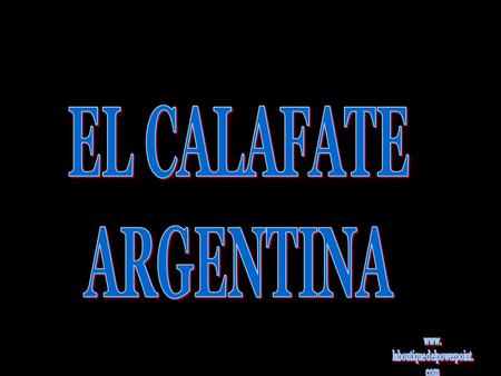 El Calafate es una localidad ubicada en la región de la Patagonia, en la provincia de Santa Cruz; Argentina. Se encuentra situada en la ribera meridional.