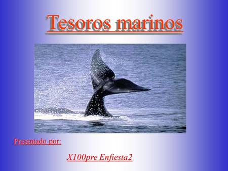 Tesoros marinos Tesoros marinos Presentado por: X100pre Enfiesta2.