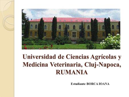 Universidad de Ciencias Agrícolas y Medicina Veterinaria, Cluj-Napoca, RUMANIA Estudiante BORCA IOANA.