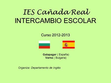 IES Cañada Real INTERCAMBIO ESCOLAR Curso