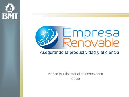 Banco Multisectorial de Inversiones 2009