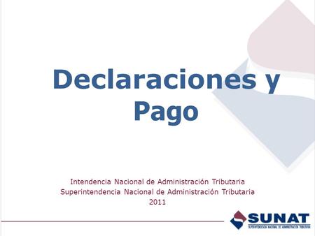 Declaraciones y Pago Intendencia Nacional de Administración Tributaria