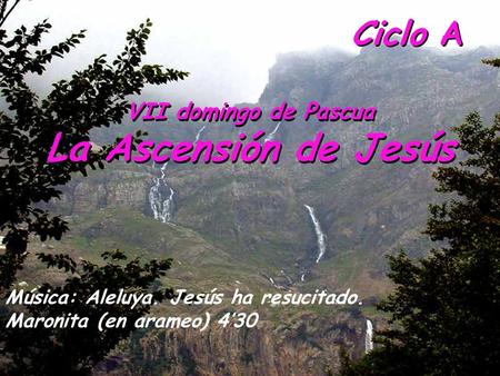 La Ascensión de Jesús Ciclo A VII domingo de Pascua
