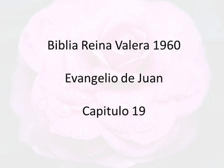 Biblia Reina Valera 1960 Evangelio de Juan Capitulo 19