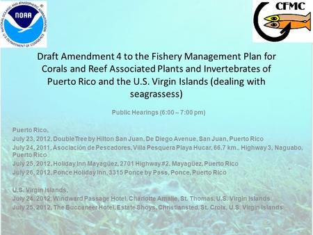 Draft Amendment 4 to the Fishery Management Plan for Corals and Reef Associated Plants and Invertebrates of Puerto Rico and the U.S. Virgin Islands (dealing.