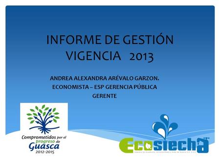 INFORME DE GESTIÓN VIGENCIA 2013