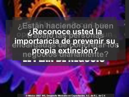 ¿Está usted satisfecho con los resultados de su empresa? EL PLAN DE NEGOCIO ¿Está bien enfocada su operación; cuenta con un proyecto y una planeación a.