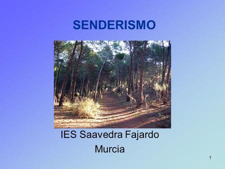 IES Saavedra Fajardo Murcia