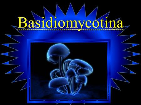 Basidiomycotina.