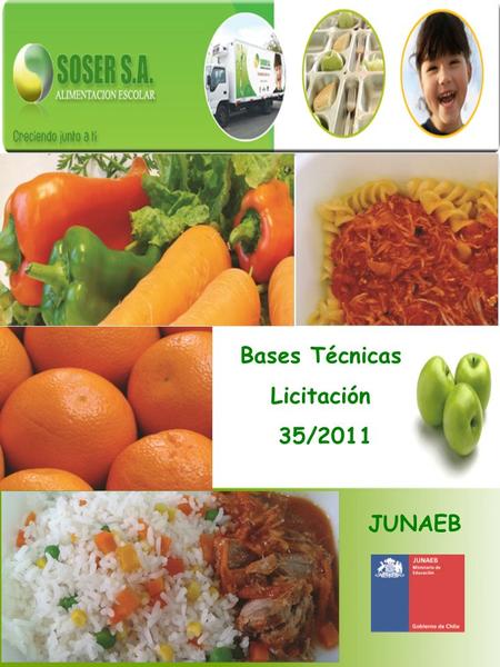 Bases Técnicas Licitación 35/2011 JUNAEB.