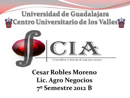 Universidad de Guadalajara Centro Universitario de los Valles