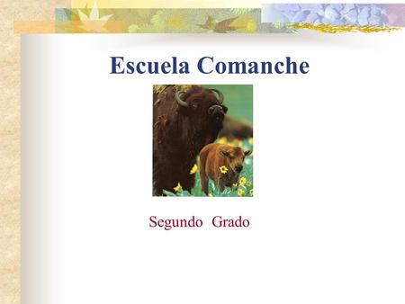 Escuela Comanche Segundo Grado.