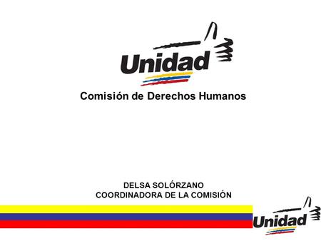 Comisión de Derechos Humanos DELSA SOLÓRZANO COORDINADORA DE LA COMISIÓN.