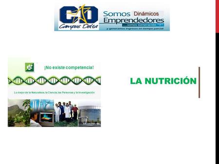 La nutrición Dinámicos ¡No existe competencia!