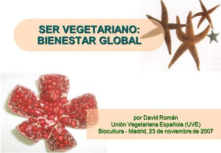 SER VEGETARIANO: BIENESTAR GLOBAL