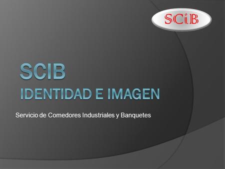 SCiB identidad e imagen