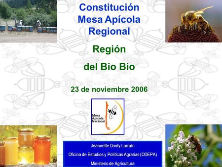 Constitución Mesa Apícola Regional Región del Bio Bio 23 de noviembre 2006 Jeannette Danty Larraín Oficina de Estudios y Políticas Agrarias (ODEPA) Ministerio.