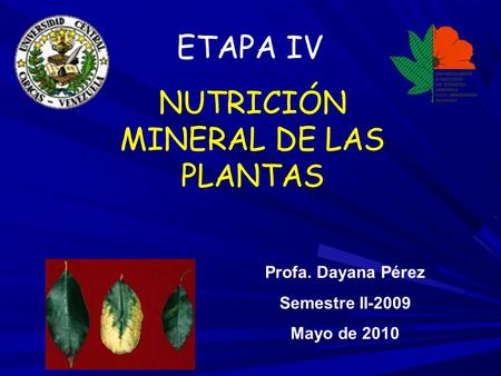 NUTRICIÓN MINERAL DE LAS PLANTAS Profa. Dayana Pérez Semestre II-2009 Mayo de 2010 ETAPA IV.