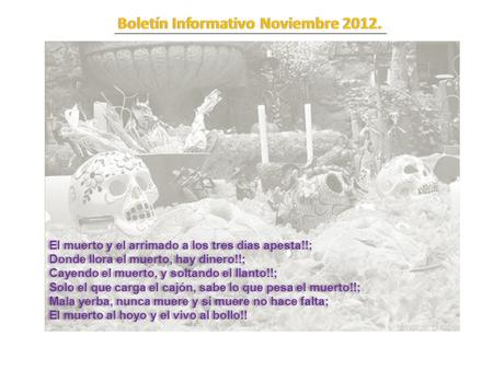 Boletín Informativo Noviembre 2012.