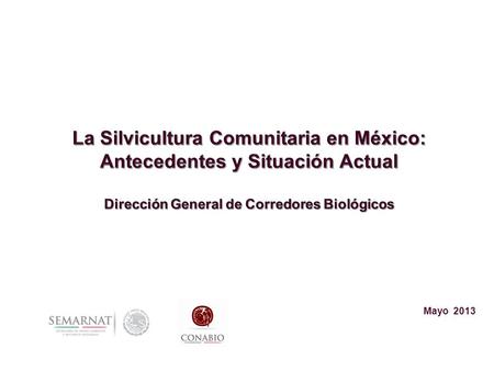 La Silvicultura Comunitaria en México: Antecedentes y Situación Actual