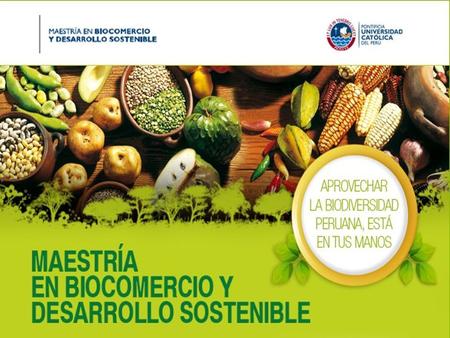 Investigaciones - Asociaciones de pequeños productores y exportaciones de banano orgánico en el Valle del Chira Determinantes de la competitividad de.