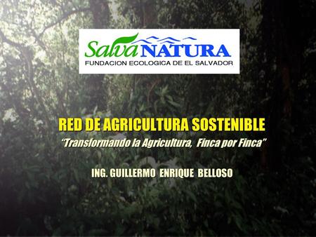 RED DE AGRICULTURA SOSTENIBLE