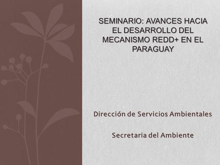 Dirección de Servicios Ambientales Secretaria del Ambiente