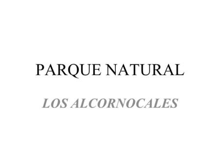 PARQUE NATURAL LOS ALCORNOCALES. Click to edit the outline text format – Second Outline Level Third Outline Level – Fourth Outline Level Fifth Outline.