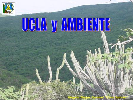 UCLA y AMBIENTE Imagen: Parque Nacional “Cerro Saroche”