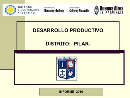 DESARROLLO PRODUCTIVO DISTRITO: PILAR- INFORME 2010.