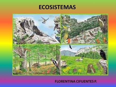 ECOSISTEMAS FLORENTINA CIFUENTES P..
