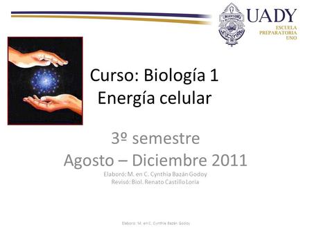 Curso: Biología 1 Energía celular