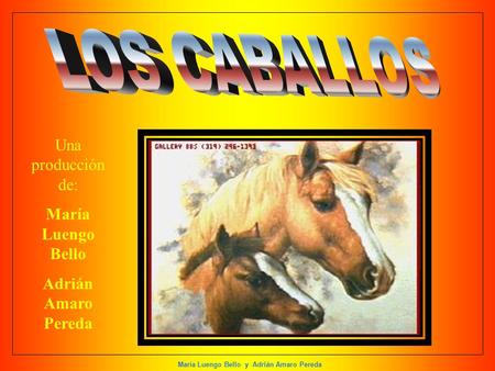LOS CABALLOS Una producción de: María Luengo Bello Adrián Amaro Pereda.