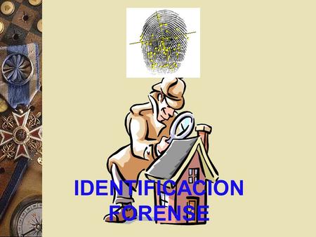 IDENTIFICACION FORENSE