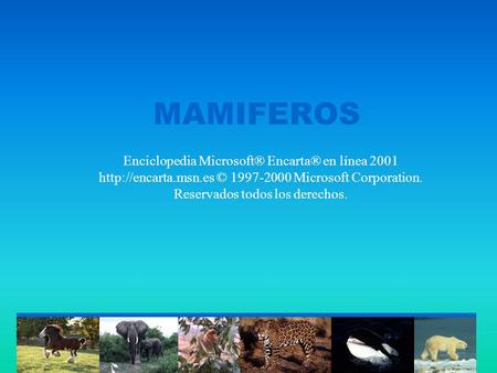 MAMIFEROS Enciclopedia Microsoft® Encarta® en línea 2001 http://encarta.msn.es © 1997-2000 Microsoft Corporation. Reservados todos los derechos.