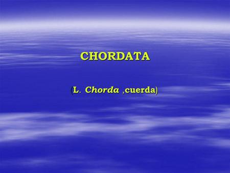 CHORDATA (L. Chorda ,cuerda).