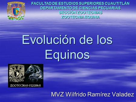 Evolución de los Equinos