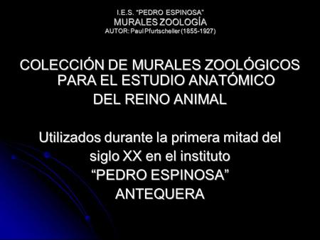 I.E.S. PEDRO ESPINOSA MURALES ZOOLOGÍA AUTOR: Paul Pfurtscheller (1855-1927) COLECCIÓN DE MURALES ZOOLÓGICOS PARA EL ESTUDIO ANATÓMICO DEL REINO ANIMAL.