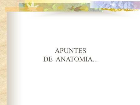APUNTES DE  ANATOMIA....