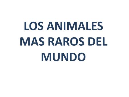 LOS ANIMALES MAS RAROS DEL MUNDO