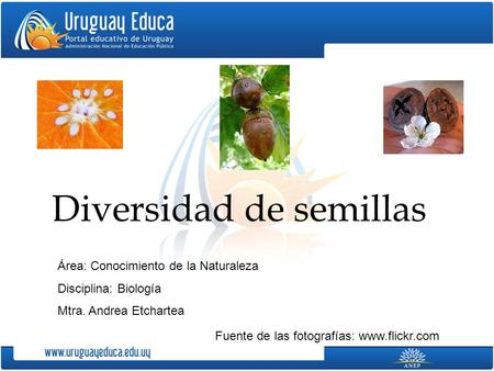 Diversidad de semillas