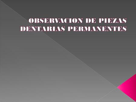 OBSERVACION DE PIEZAS DENTARIAS PERMANENTES