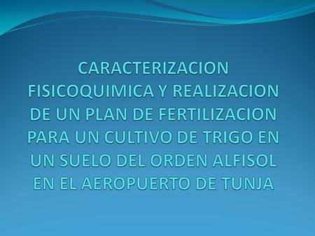 CARACTERIZACION FISICOQUIMICA Y REALIZACION DE UN PLAN DE FERTILIZACION PARA UN CULTIVO DE TRIGO EN UN SUELO DEL ORDEN ALFISOL EN EL AEROPUERTO DE TUNJA.