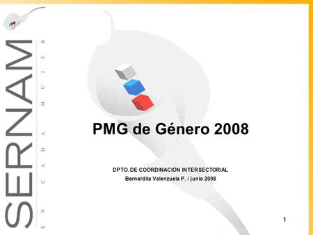 PMG de Género 2008 DPTO. DE COORDINACIÓN INTERSECTORIAL Bernardita Valenzuela P. / junio 2008.